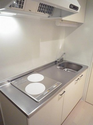 中野区沼袋4丁目楽器可(グランドピアノ・弦管楽器・声楽)デザイナーズマンション キッチン
