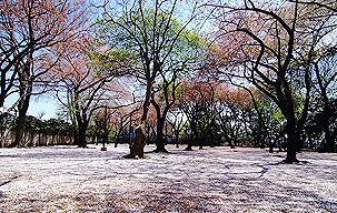世田谷区上野毛1丁目楽器可（アップライトピアノ・その他楽器相談）マンション その他