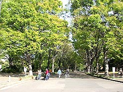 世田谷区上馬１丁目楽器可（ピアノ・弦管打楽器・声楽）マンション その他