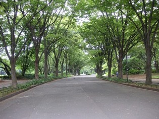 世田谷区上馬１丁目楽器可（ピアノ・弦管打楽器・声楽）マンション その他