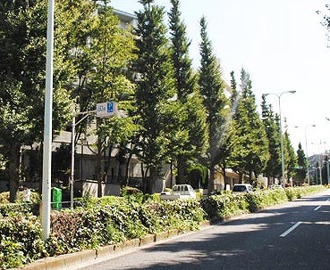 港区白金3丁目楽器可（ピアノ・弦・管楽器・声楽）マンション その他