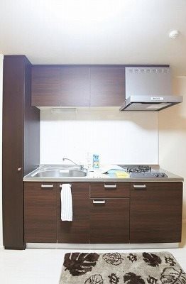 大田区千鳥1丁目楽器可(ピアノ・弦楽器・声楽)マンション キッチン