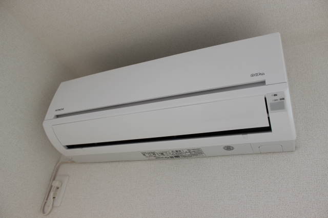 ラベンダー その他6