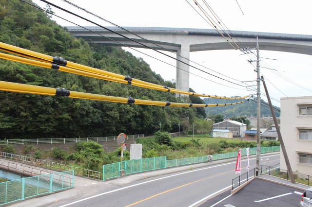 ラベンダー その他14