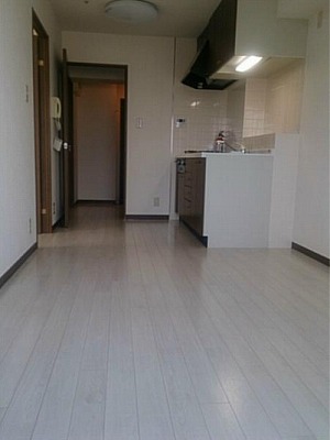中野区中央5丁目楽器可（弦楽器）マンション リビング