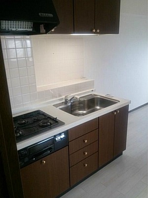 中野区中央5丁目楽器可（弦楽器）マンション キッチン