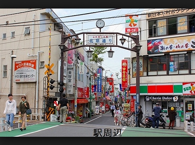 中野区若宮１丁目楽器可（弦管楽器・声楽）マンション その他