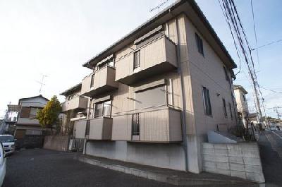 ポムドテール その他4