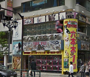 港区元麻布3丁目楽器可（ピアノ・弦管打楽器・声楽）マンション その他
