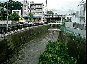 東京都調布市若葉町1丁目楽器可（ピアノ・弦管楽器・声楽）マンション リビング