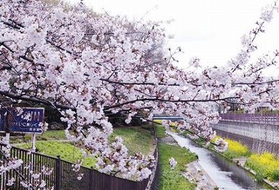 東京都調布市若葉町1丁目楽器可（ピアノ・弦管楽器・声楽）マンション その他