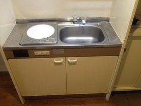 川崎市高津区溝口3丁目楽器可(ピアノ・弦管楽器)マンション キッチン