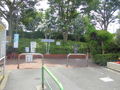 板橋区小茂根1丁目楽器可（ピアノ・弦管打楽器・声楽）マンション その他