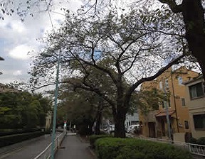 目黒区柿の木坂1丁目楽器可(ピアノ)マンション その他