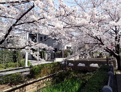 目黒区柿の木坂1丁目楽器可(ピアノ)マンション その他