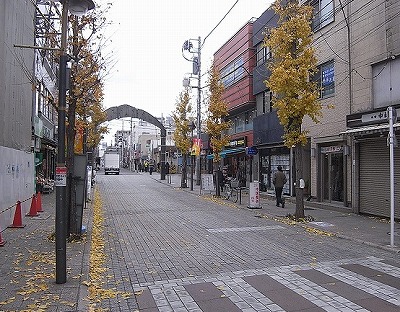 世田谷区等々力4丁目楽器可（ピアノ・弦/管/打楽器・声楽）マンション その他