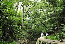 世田谷区等々力4丁目楽器可（ピアノ・弦/管/打楽器・声楽）マンション その他