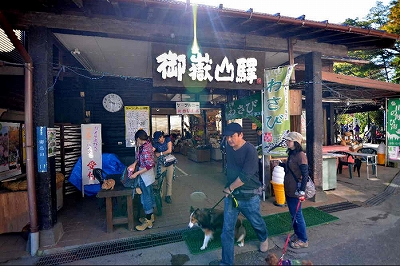 大田区田園調布本町楽器可（アップピアノ）マンション その他