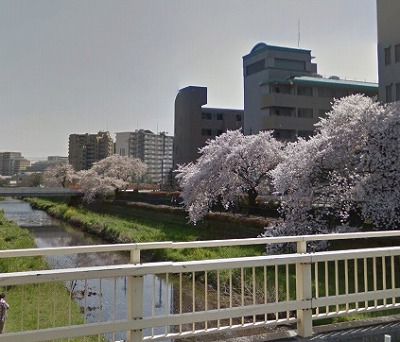 調布市菊野台1丁目楽器可（ピアノ・弦楽器・声楽）マンション その他