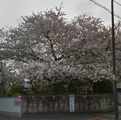 狛江市岩戸南1丁目楽器可(ピアノ・弦管打楽器・声楽)マンション その他