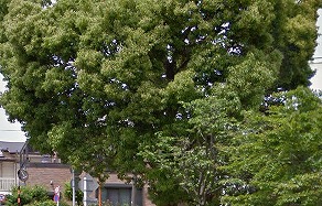 大田区中馬込3丁目楽器可（グランドピアノ・弦管打楽器・声楽）マンション その他
