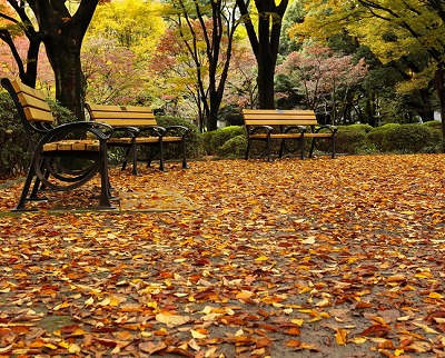 練馬区桜台1丁目楽器可（ピアノ・弦・菅楽器）アパート その他