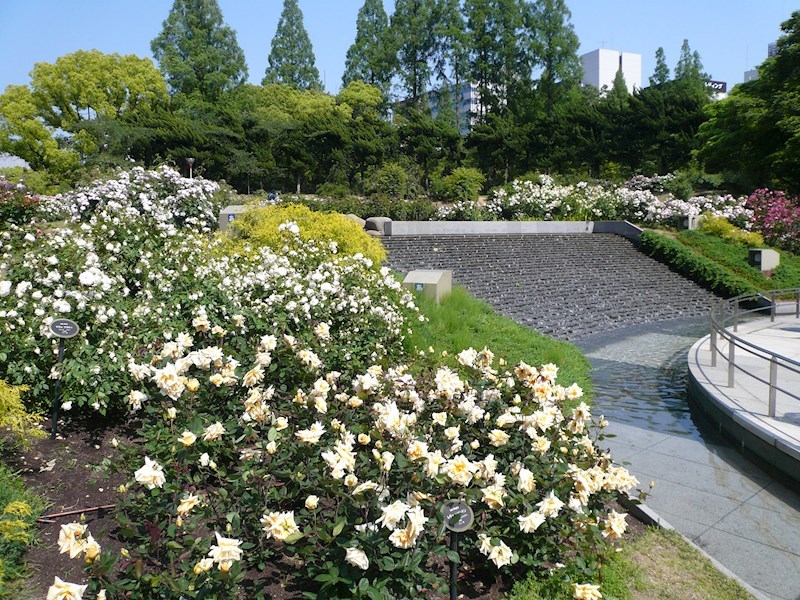 フォレステージュ靭公園 その他
