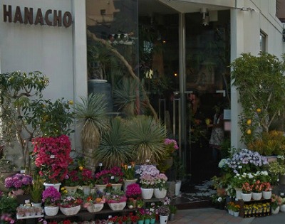 世田谷区桜1丁目楽器可（アップライトピアノ）分譲マンション その他