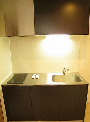 東村山市栄町1丁目楽器可(防音・24時間演奏・グランドピアノ・弦・管楽器・声楽)マンション キッチン