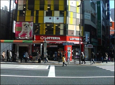 新宿区中落合2丁目楽器可（弦楽器）マンション その他