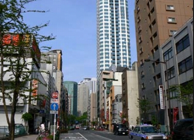 新宿区西新宿6丁目楽器可（ピアノ・弦管打楽器・声楽）マンション その他
