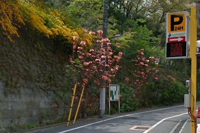 豊島区巣鴨１丁目楽器可（地下共用防音室・24時間演奏・ピアノ・弦管打楽器・声楽）デザイナーズマンション その他