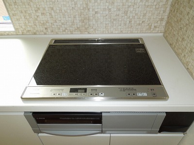 府中市白糸台町2丁目楽器可（ピアノ・弦管楽器・声楽）アパート キッチン