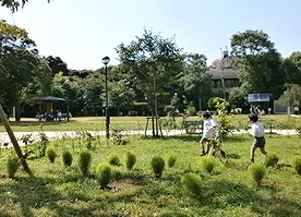 品川区東五反田4丁目音楽教室可(グランドピアノ・弦楽器・声楽)マンション その他