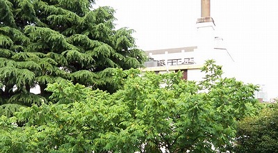 品川区東五反田4丁目音楽教室可(グランドピアノ・弦楽器・声楽)マンション その他