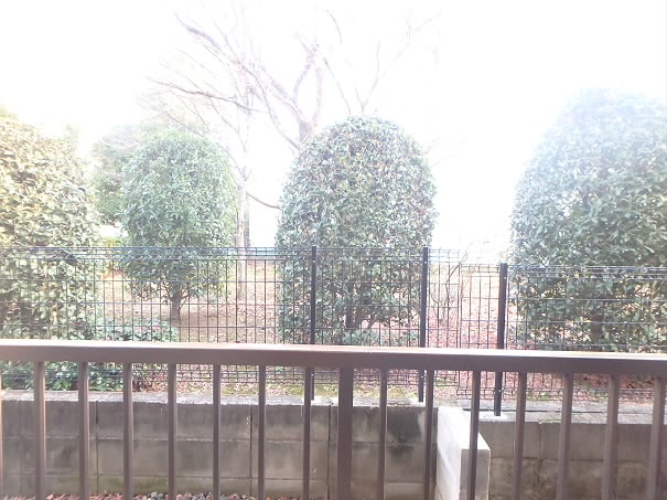 シャンティー堀 その他6