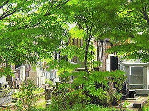 足立区竹の塚1目楽器可（防音・24時間演奏・グランドピアノ・弦管楽器・声楽）マンション その他