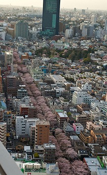 目黒区中目黒1丁目楽器可(防音・24時間演奏・グランドピアノ・弦・管楽器・声楽・DTM)マンション その他