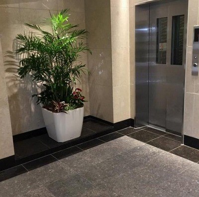 世田谷区太子堂2丁目楽器可(防音・グランドピアノ・弦・木管楽器)マンション エントランス