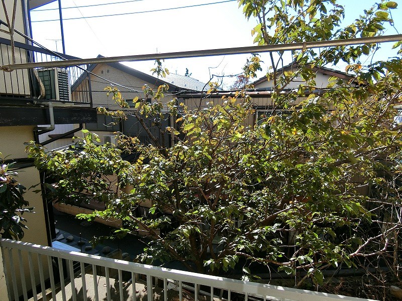 その他2