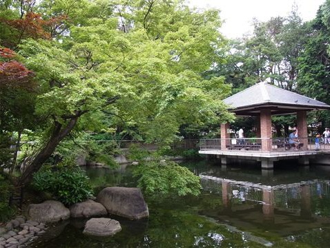 ﾄｯﾌﾟ東高円寺 周辺画像6