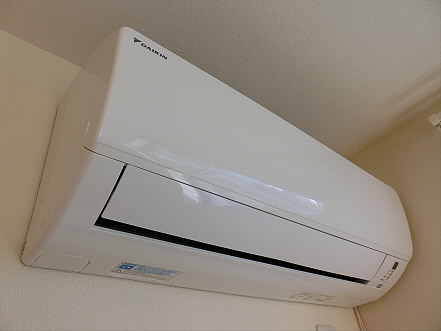 アルメリア その他6