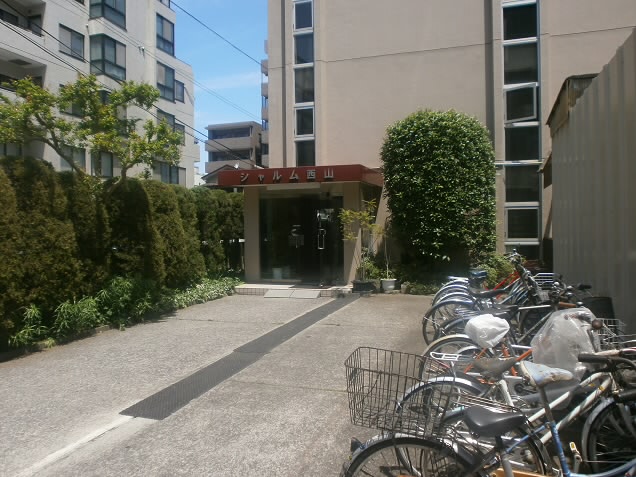 その他6