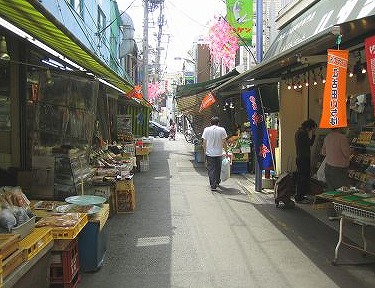 板橋区小茂根4丁目楽器可(防音・グランドピアノ・弦・管楽器・声楽)マンション その他