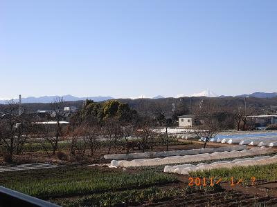 西ノ岡ハイツ その他4
