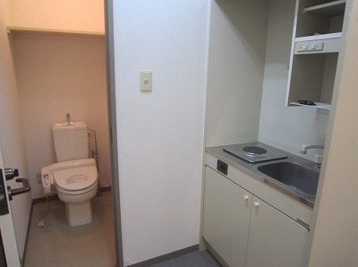 千代田区平河町1丁目楽器可（グランドピアノ・弦楽器）マンション その他