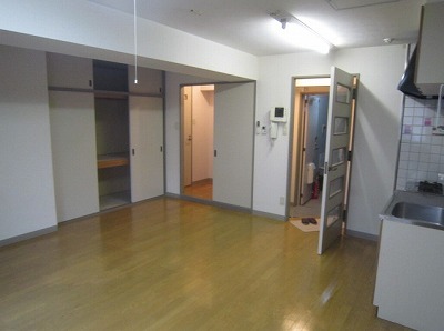 千代田区平河町1丁目楽器可（グランドピアノ・弦楽器）マンション リビング