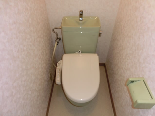 マーロンシライト  その他2