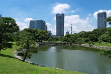 浜離宮庭園 FUTIVAL汐留浜離宮パークサイドシティ 周辺画像4