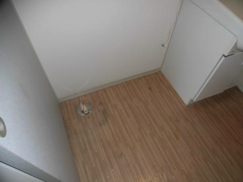 ディアスＢ その他外観4